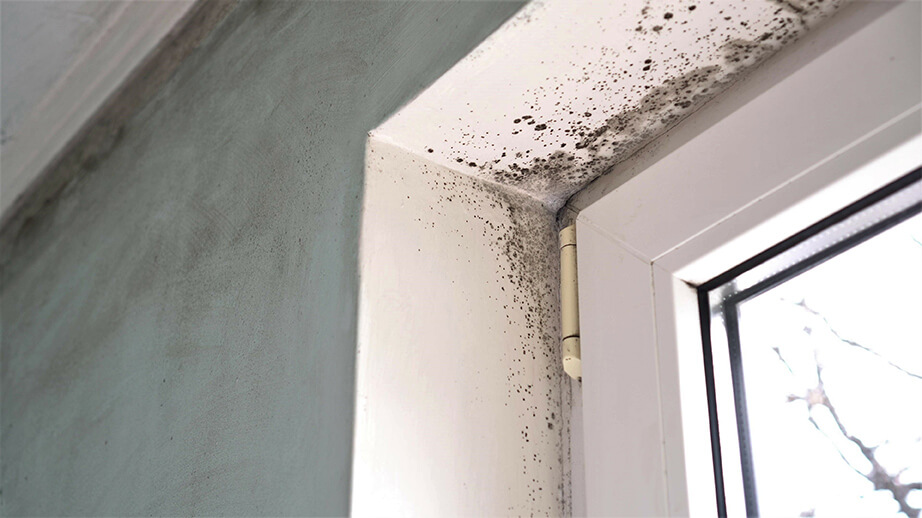 Mould in the corner of a window